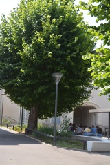 Collège Littré Collège Littré