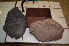 Collège Littré Collège Littré