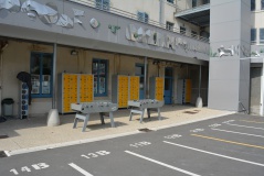 Collège Littré Collège Littré