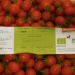 Tomates cerises Tomates cerises