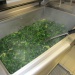 10 kg d'épinard après cuisson 10 kg d'épinard après cuisson