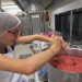 IMG_0548 IMG_0548